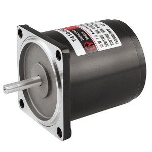 Small AC Electric Motor