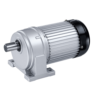 AC Gear Motor