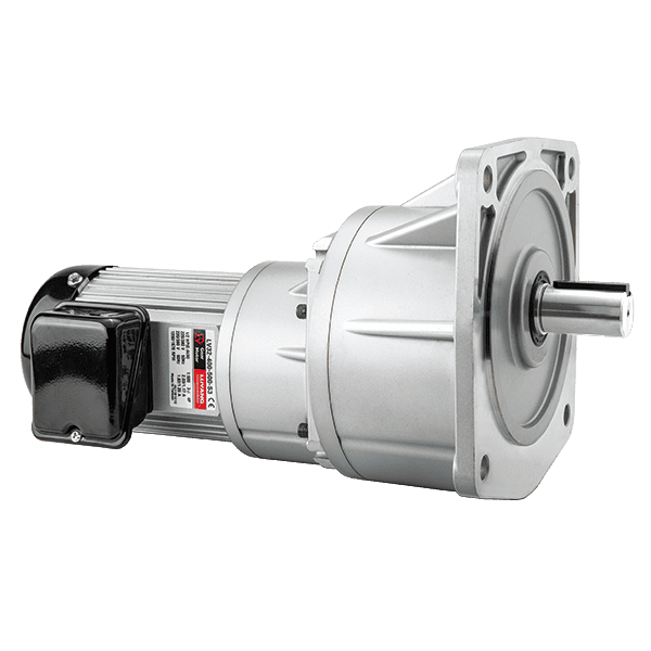 LV Vertical High Ratio Gear Motor