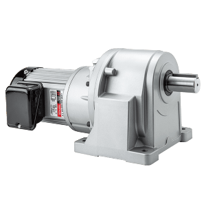 LH Horizontal High Ratio Gear Motor