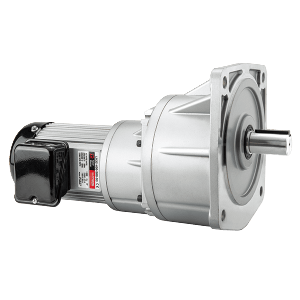 LV Vertical High Ratio Gear Motor