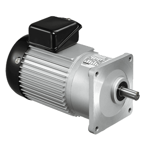 Small AC Electric Motor】from Luyang Technology