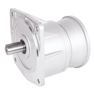 LVM Vertical Reducer Motor Plug-In